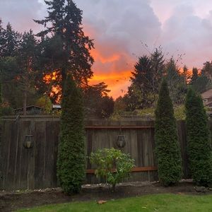 Meet your Posher, Ben